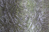 Polbeth fibreglass roof work